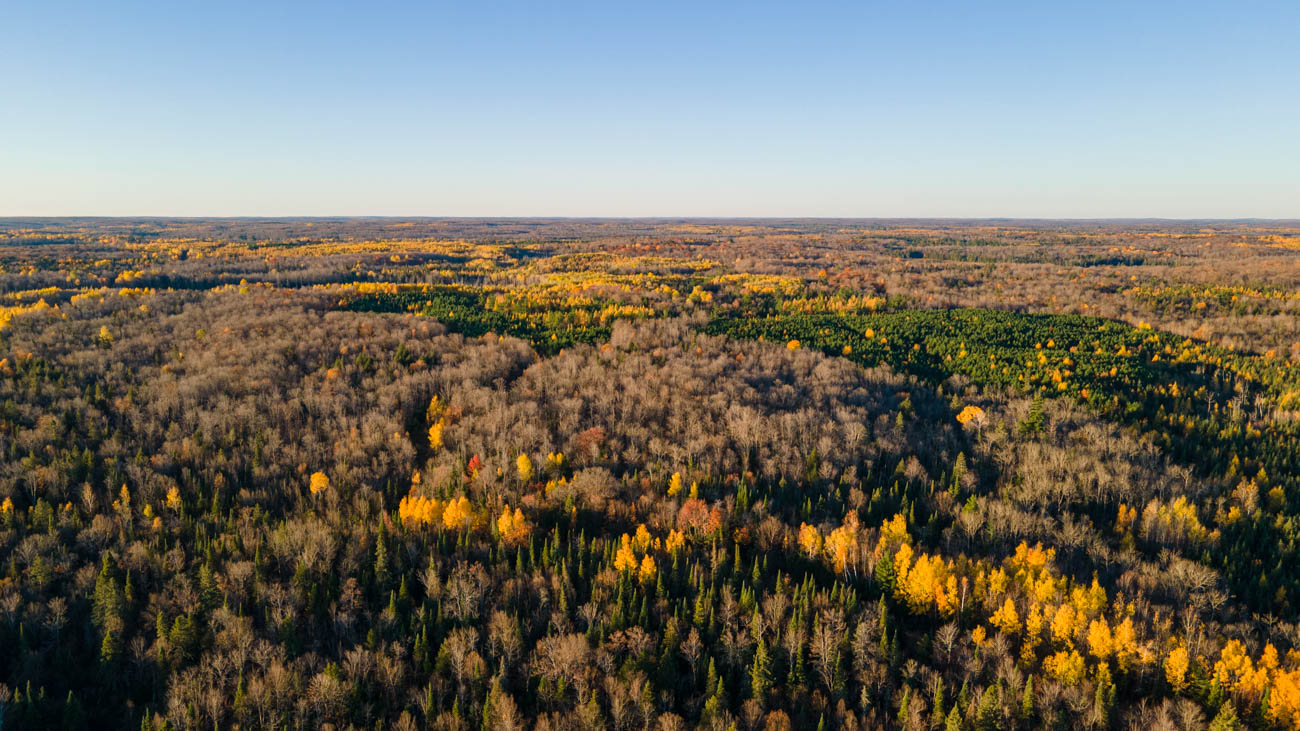 AFM Twin Lakes Tract Aerial Photography Northern Wisconsin -1