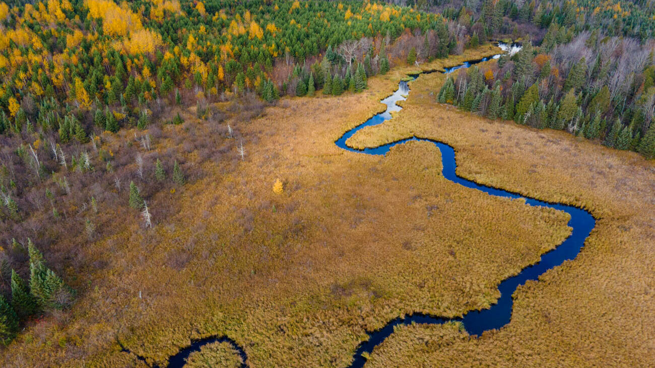 AFM Twin Lakes Tract Aerial Photography Northern Wisconsin -10