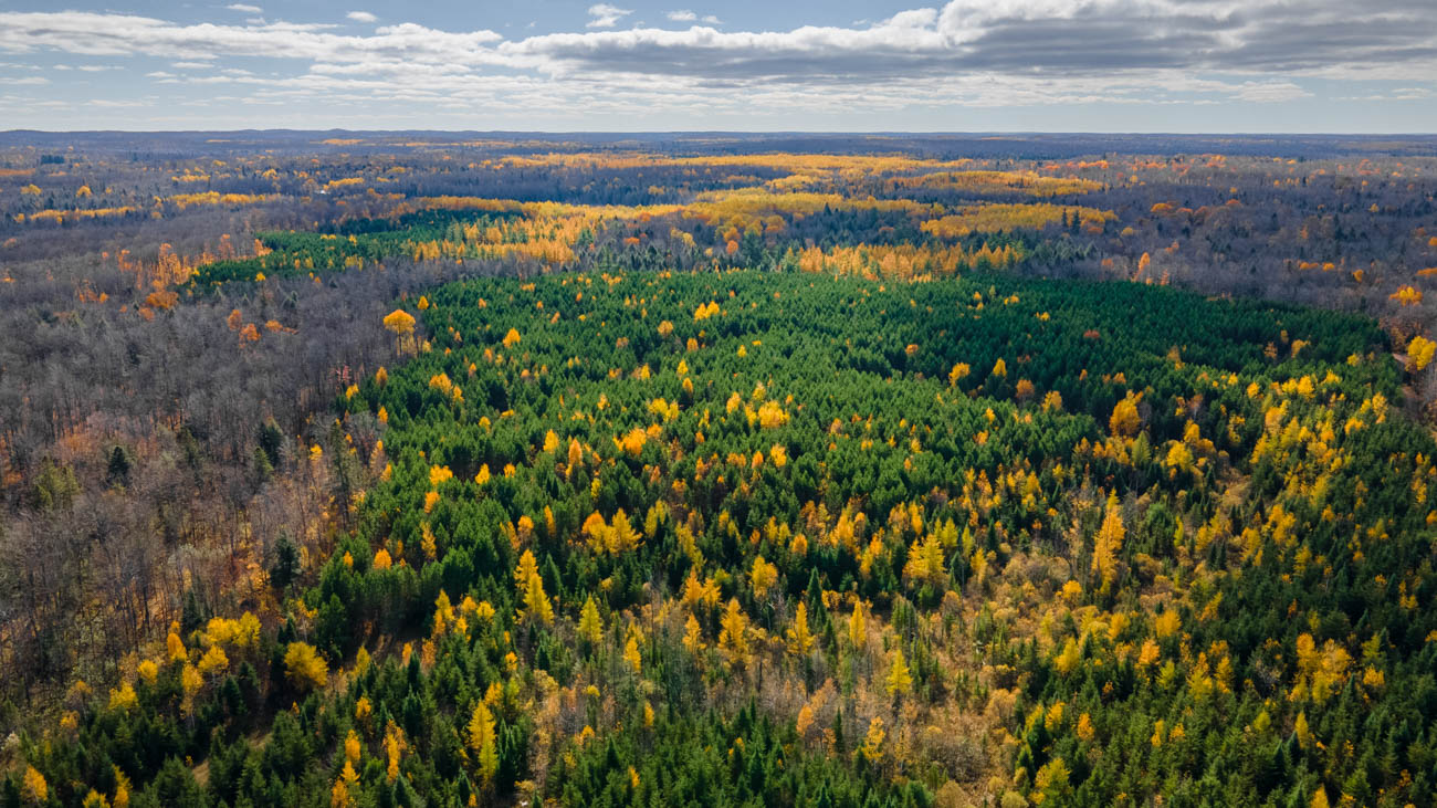 AFM Twin Lakes Tract Aerial Photography Northern Wisconsin -24