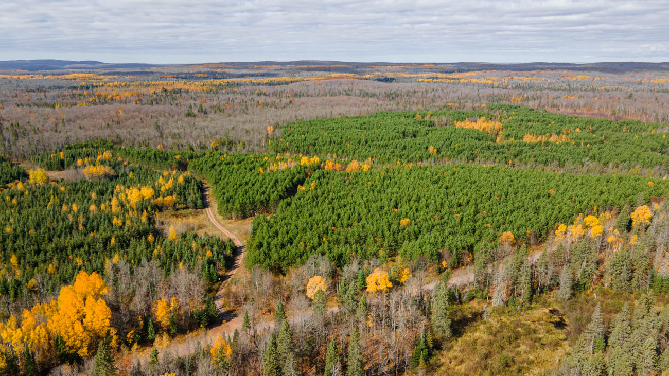 AFM Twin Lakes Tract Aerial Photography Northern Wisconsin -25