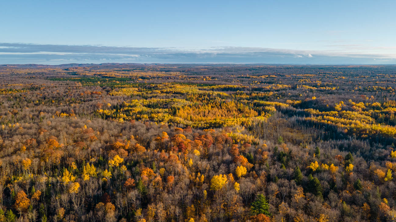 AFM Twin Lakes Tract Aerial Photography Northern Wisconsin -3