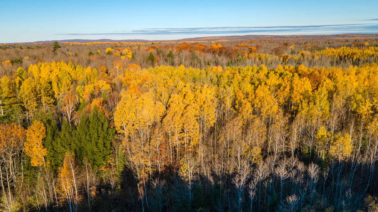 AFM Twin Lakes Tract Aerial Photography Northern Wisconsin -4