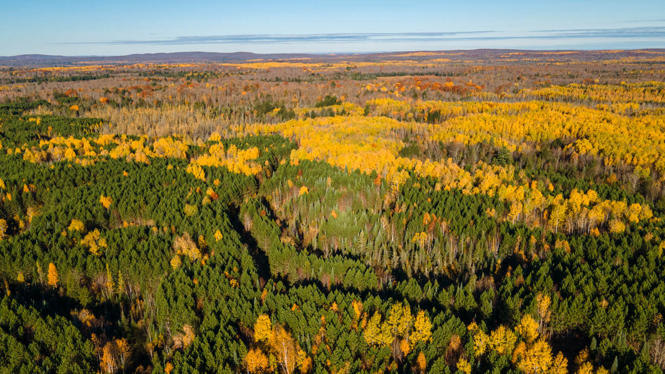 AFM Twin Lakes Tract Aerial Photography Northern Wisconsin -5