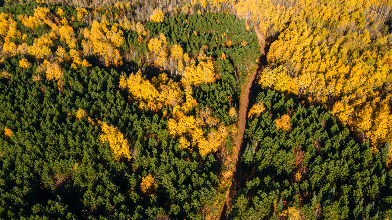AFM Twin Lakes Tract Aerial Photography Northern Wisconsin -6