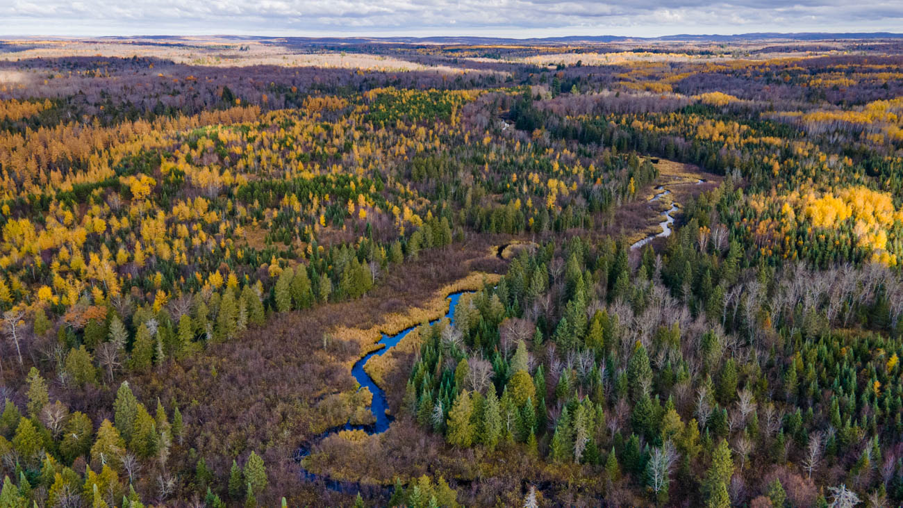 AFM Twin Lakes Tract Aerial Photography Northern Wisconsin -7