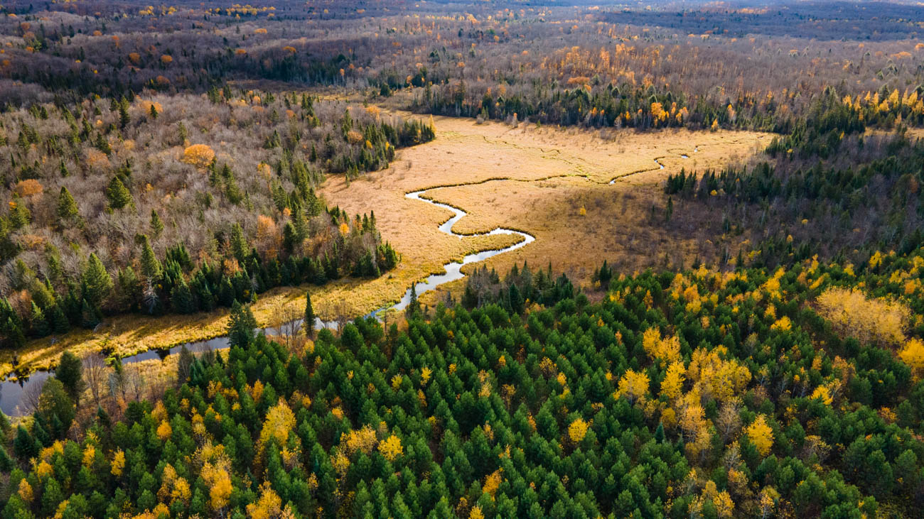 AFM Twin Lakes Tract Aerial Photography Northern Wisconsin -8