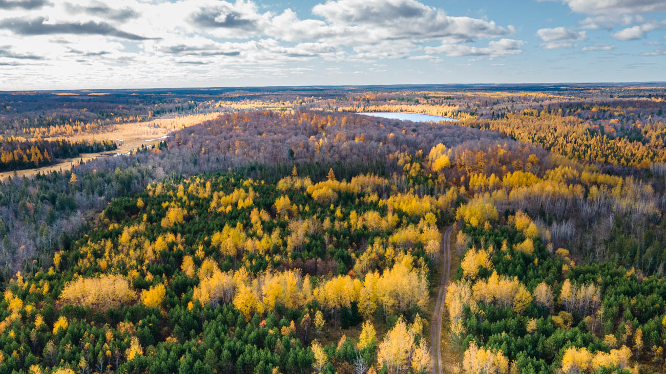 AFM Twin Lakes Tract Aerial Photography Northern Wisconsin -9
