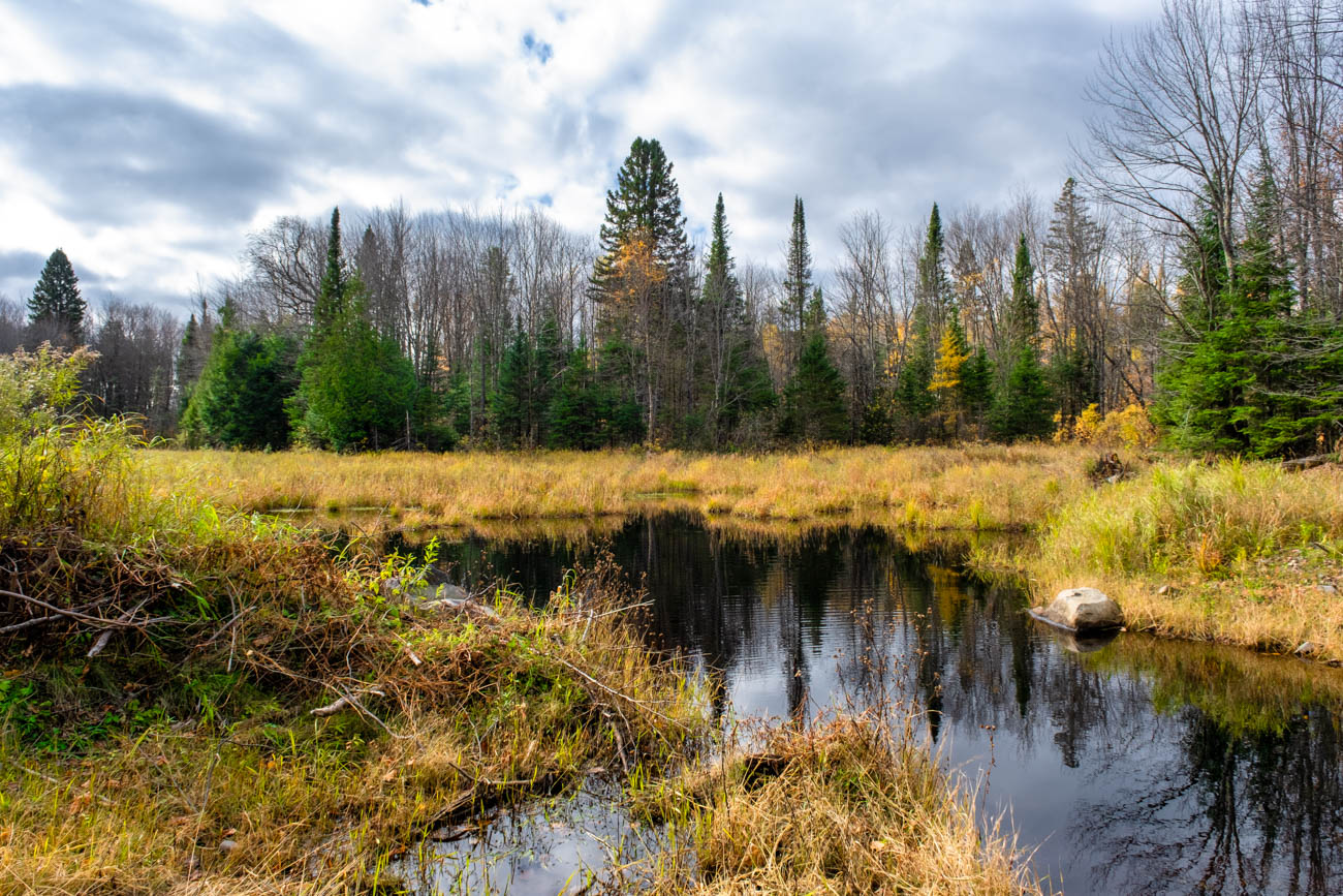 AFM Twin Lakes Tract Property Photography Northern Wisconsin -12