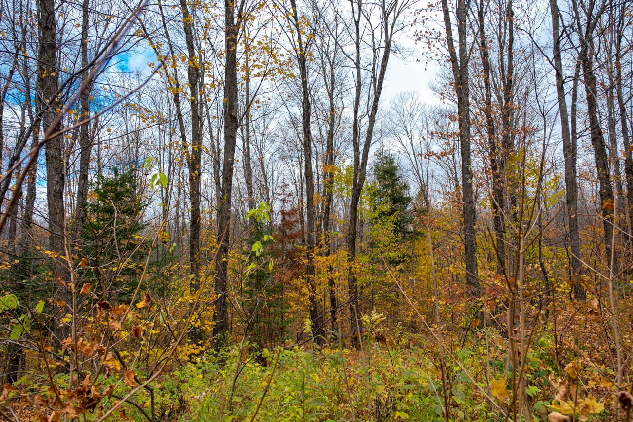 AFM Twin Lakes Tract Property Photography Northern Wisconsin -22