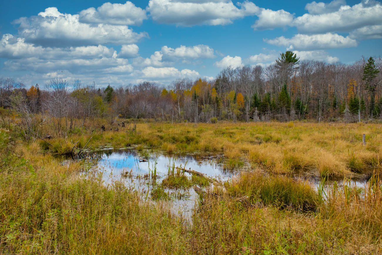 AFM Twin Lakes Tract Property Photography Northern Wisconsin -24