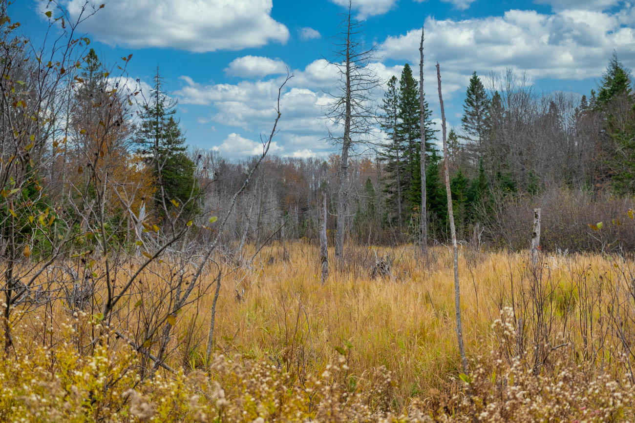 AFM Twin Lakes Tract Property Photography Northern Wisconsin -26