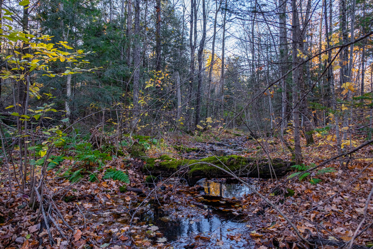 AFM Twin Lakes Tract Property Photography Northern Wisconsin -3