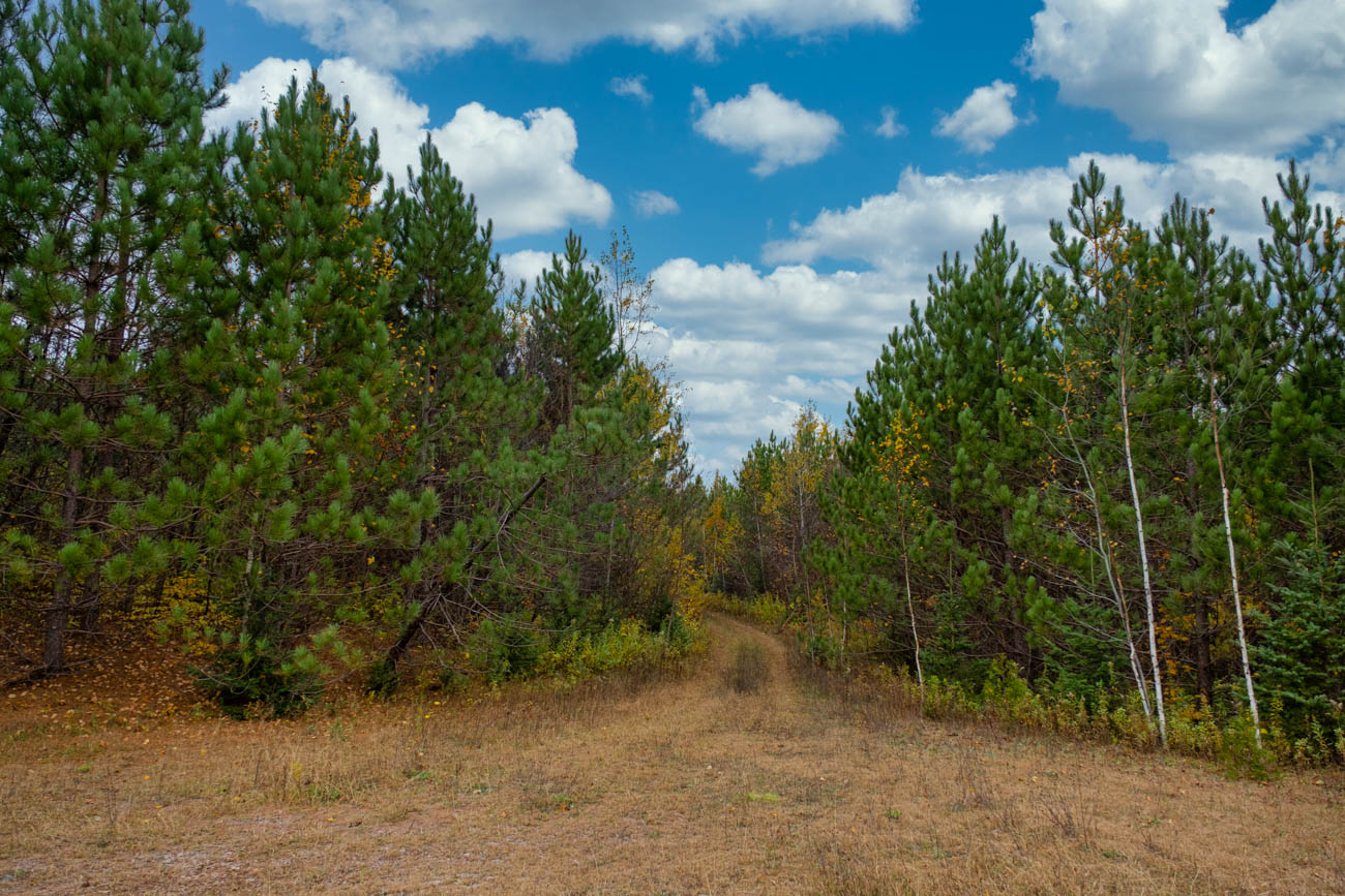 AFM Twin Lakes Tract Property Photography Northern Wisconsin -34